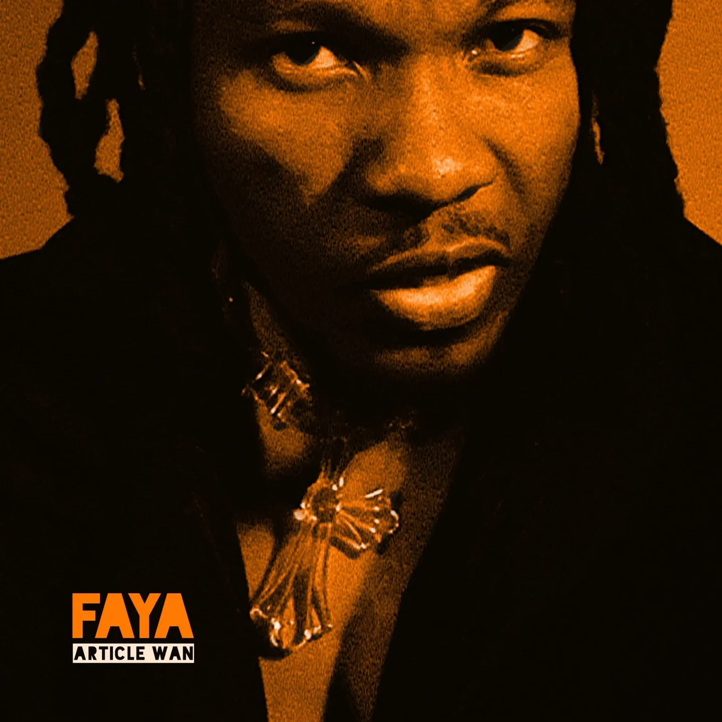 Faya cover